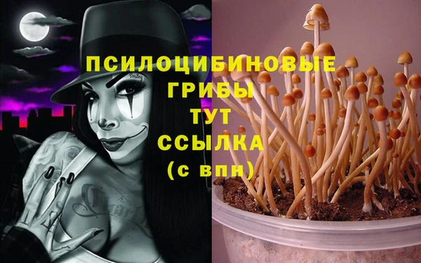 тгк Киреевск